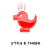 утка в гневе