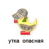 утка опасная