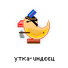 утка-индеец