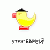 утка-еврей