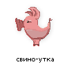 свино-утка