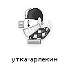 утка-арлекин