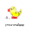 утка-спайдер